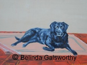 Black Lab